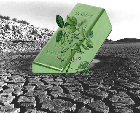 alternative