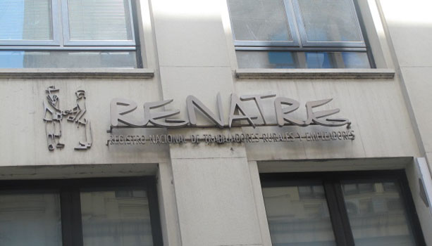 alternative